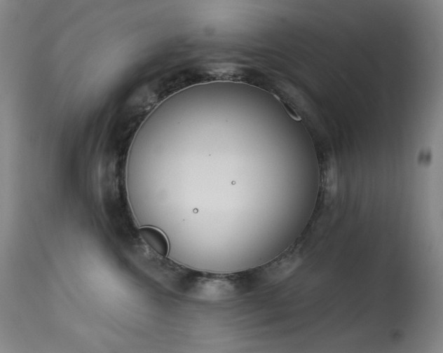 X0000113980572200910021140