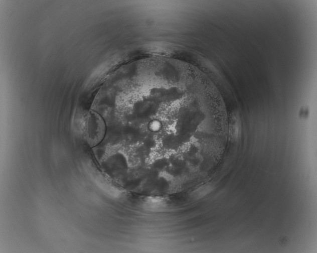 X0000113980573200910021140