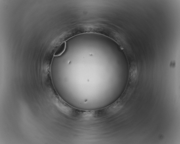 X0000113980574200910021140