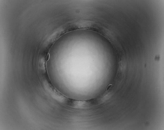 X0000113980575200910021140