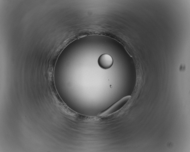 X0000113980576200910021140