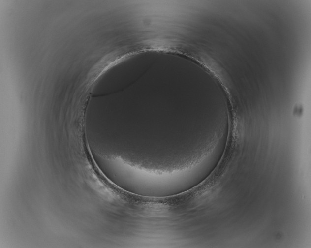 X0000113980577200910021139