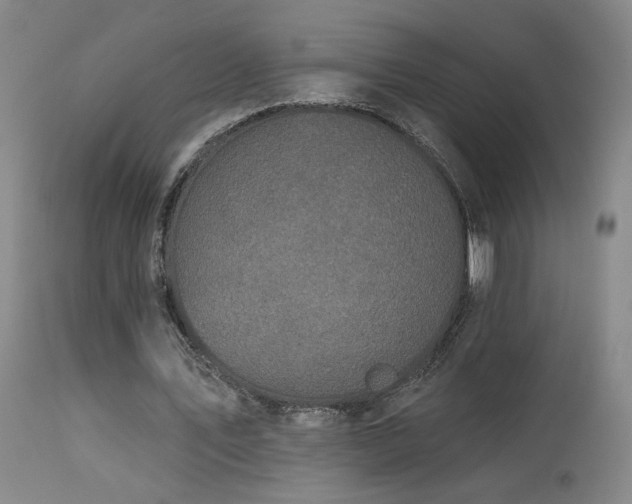 X0000113980579200910021139