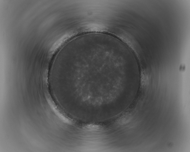 X0000113980581200910021139