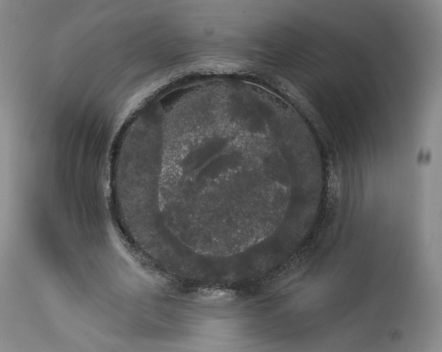 X0000113980582200910021139