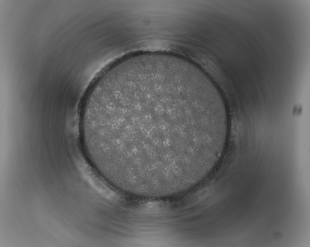 X0000113980584200910021139