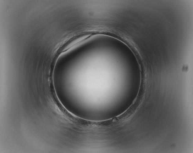 X0000113980585200910021139