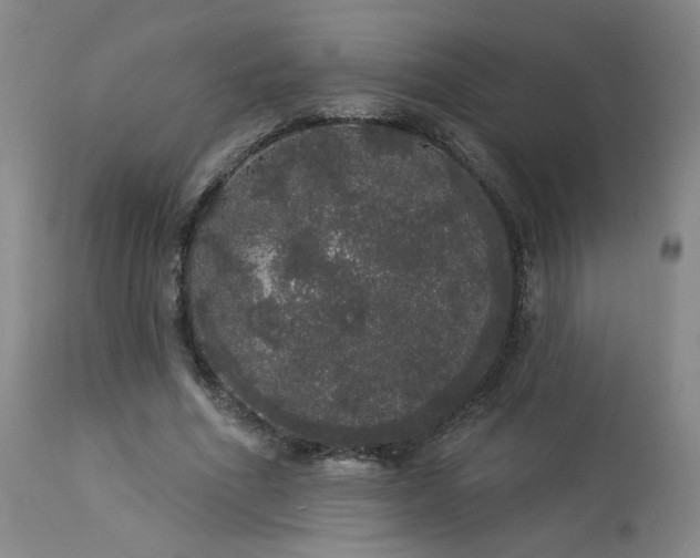 X0000113980586200910021139