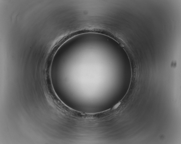 X0000113980587200910021139