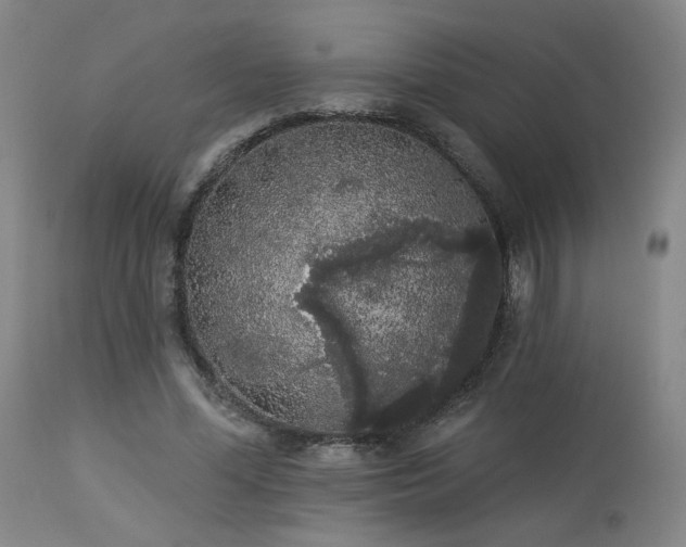 X0000113980588200910021139