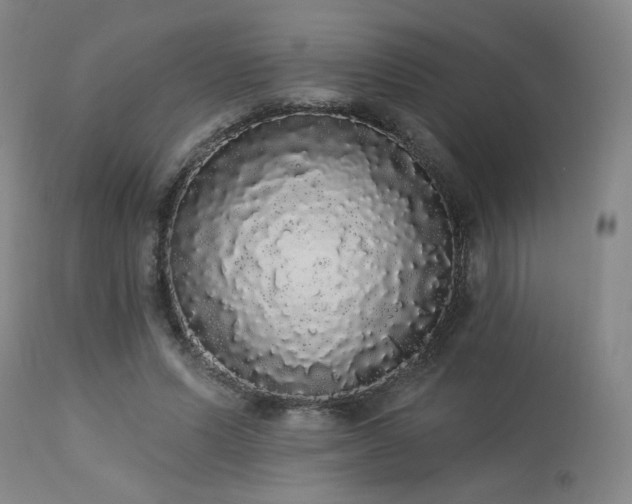 X0000113980591200910021139