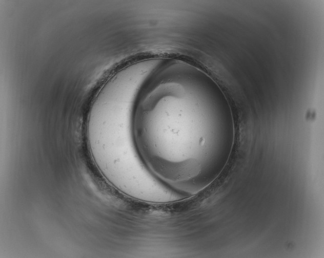 X0000113980592200910021138