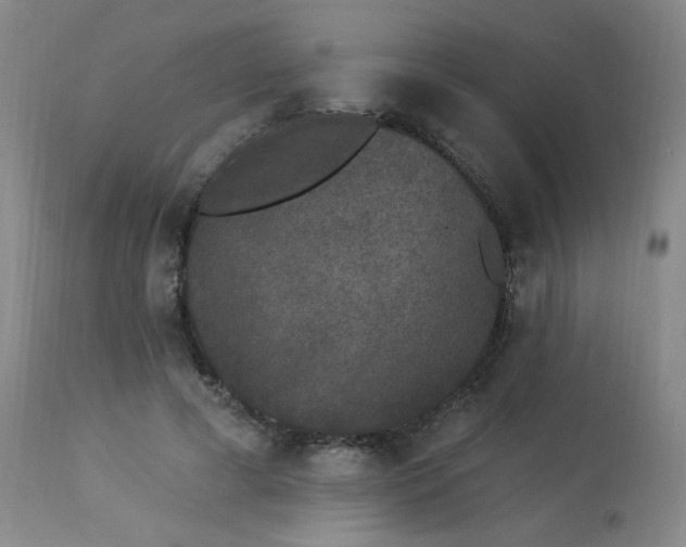 X0000113980593200910021138