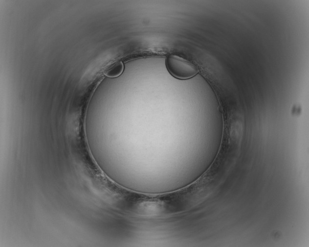 X0000113980595200910021138