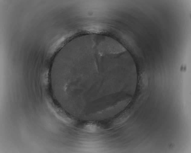 X0000113980596200910021138