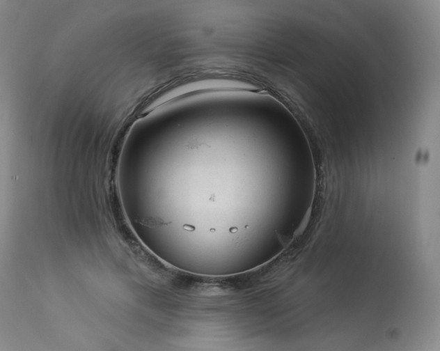 X0000113980597200910021138