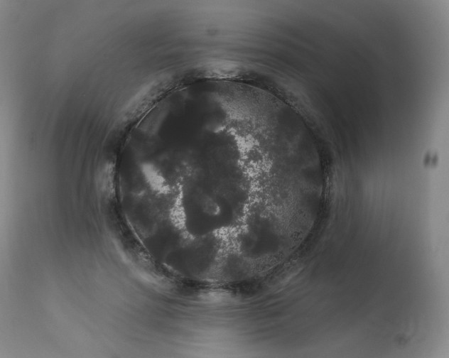 X0000113980598200910021138