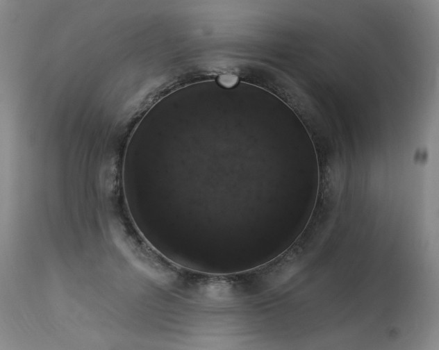 X0000113980600200910021138