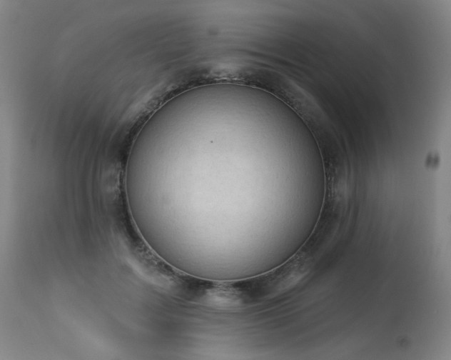 X0000113980603200910021138