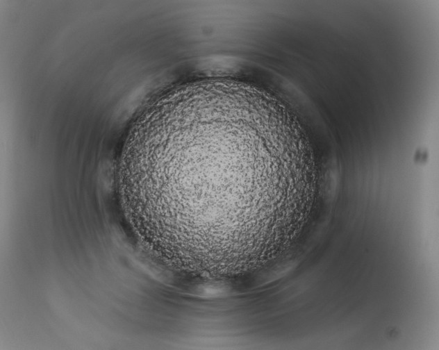 X0000113980604200910021138