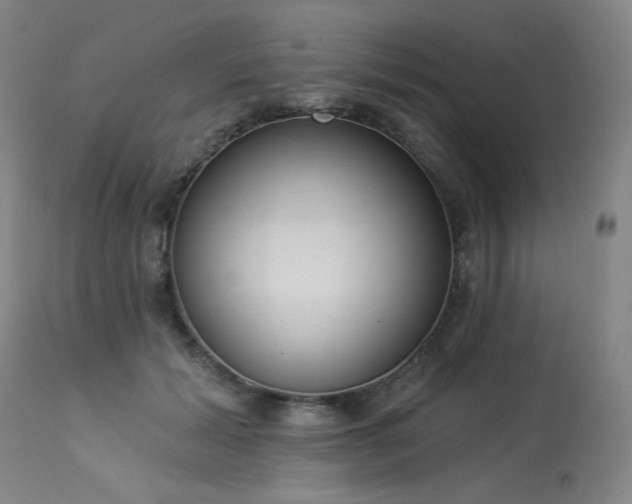 X0000113980605200910021138