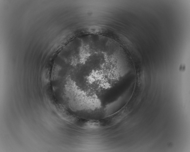 X0000113980606200910021138