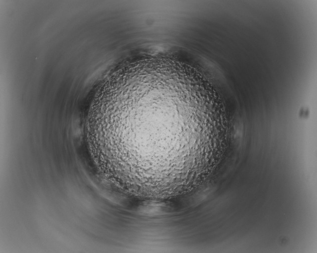 X0000113980607200910021138