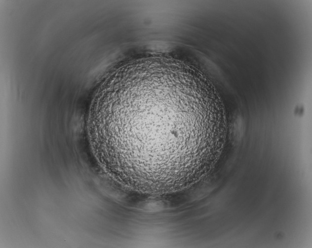 X0000113980608200910021138