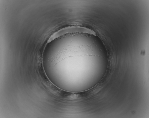 X0000113980609200910021138