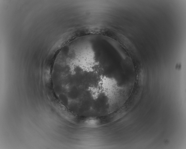 X0000113980610200910021138