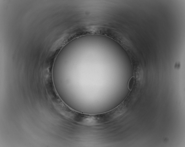 X0000113980611200910021138