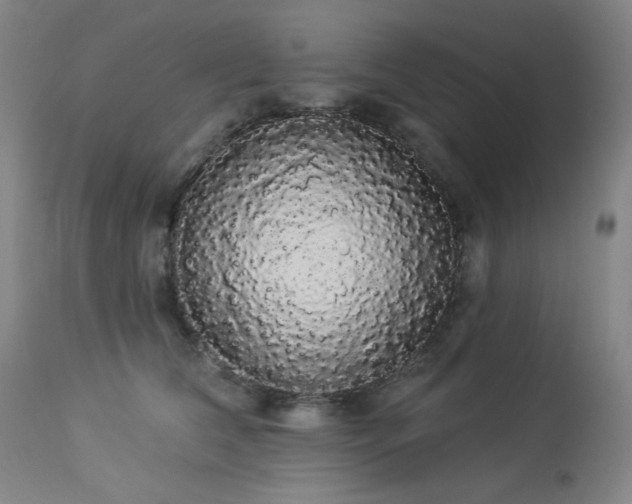 X0000113980612200910021138