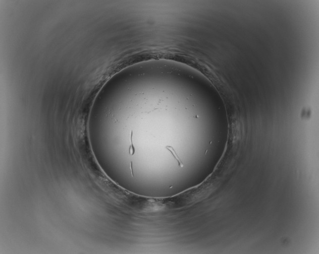 X0000113980613200910021138