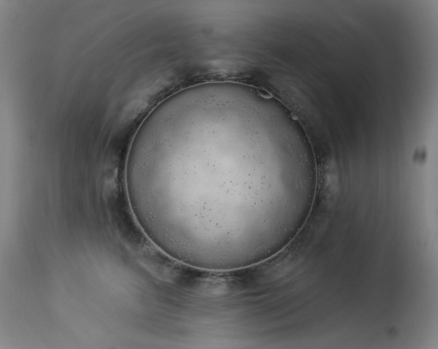 X0000113980615200910021138