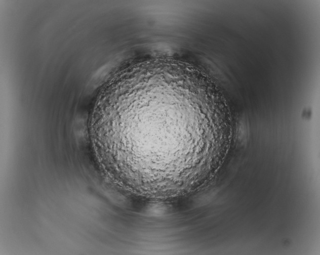 X0000113980616200910021138