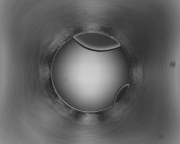 X0000113980617200910021138