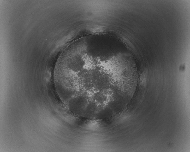 X0000113980618200910021138