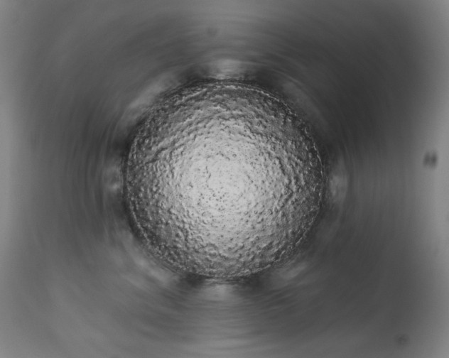 X0000113980620200910021138