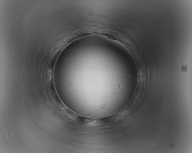 X0000113980621200910021138