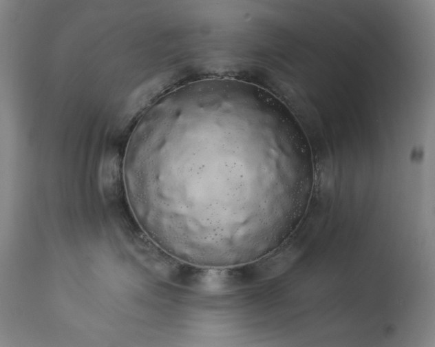 X0000113980623200910021138