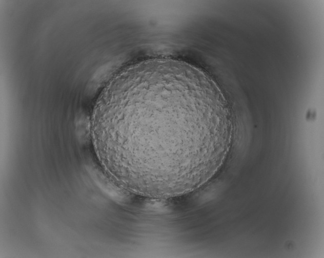 X0000113980624200910021138