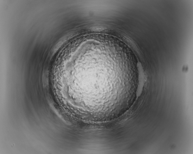 X0000113980626200910021137