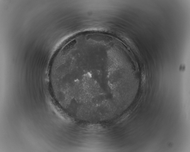 X0000113980628200910021137