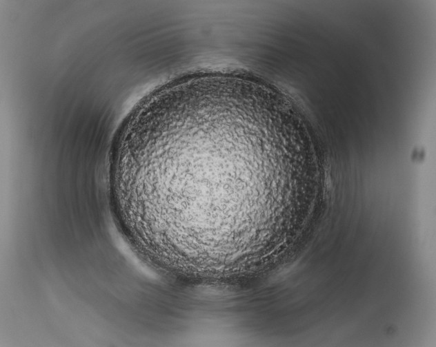 X0000113980630200910021137