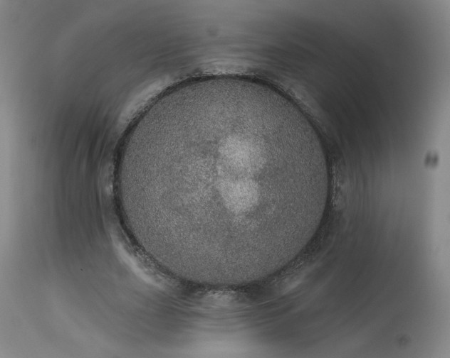 X0000113980631200910021137