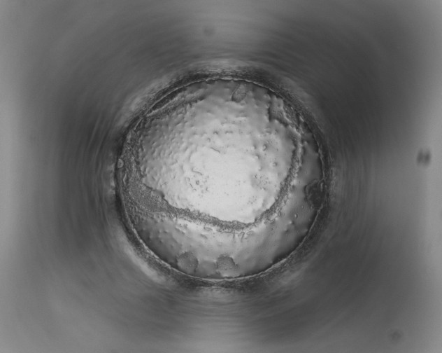 X0000113980633200910021137