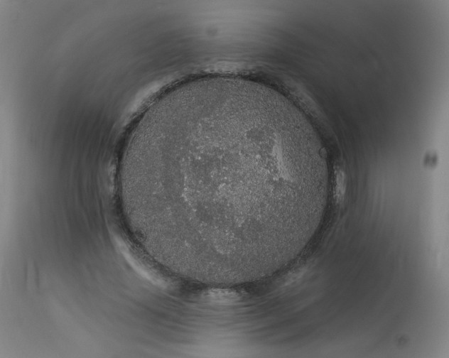 X0000113980636200910021137