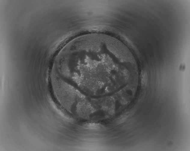 X0000113980637200910021137