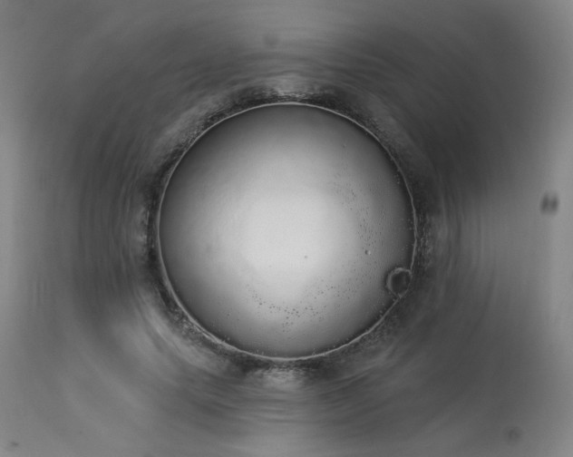 X0000113980639200910021137