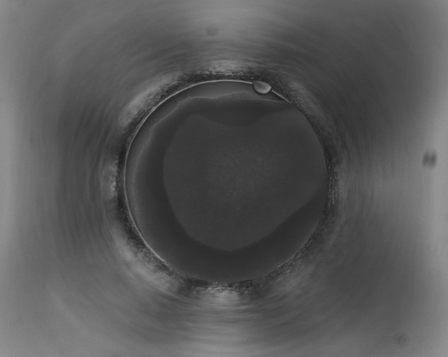 X0000113980640200910021137